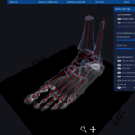 results4_3_orig Image